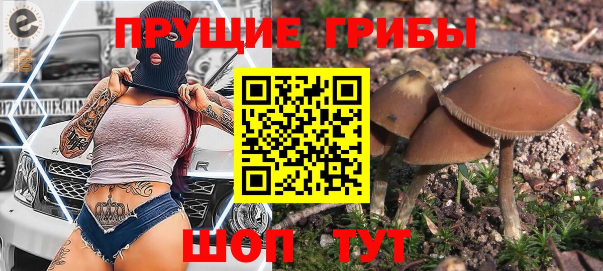 Галлюциногенные грибы ЛСД  Вход с VPN  Соликамск 